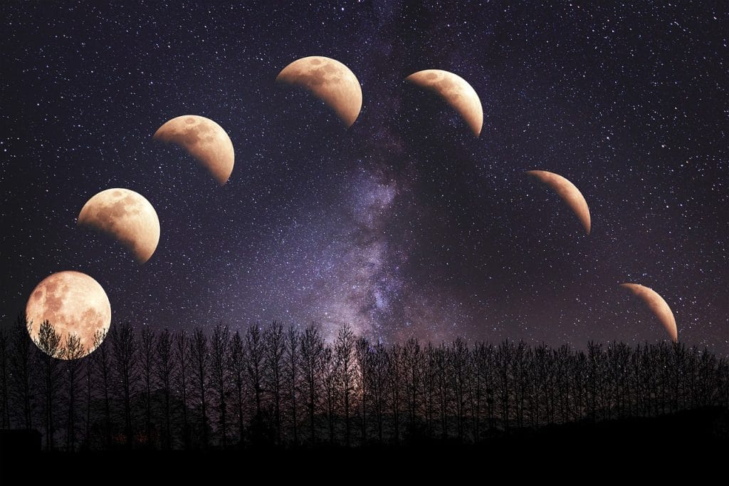 Moon phases over a forest at night